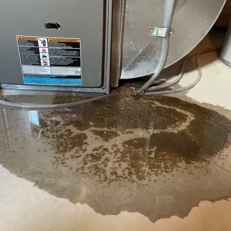 Appliance Leak Cleanup in Garfield County, CO